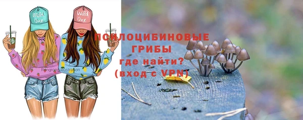 дурь Зеленокумск