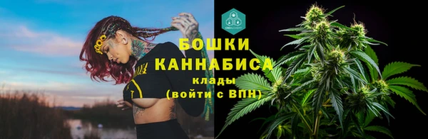 метадон Зеленодольск
