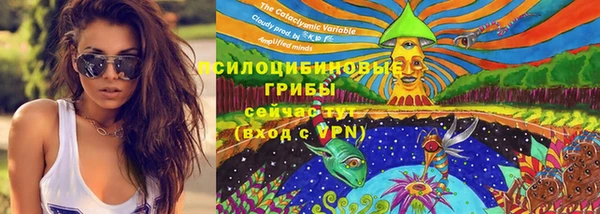 дурь Зеленокумск
