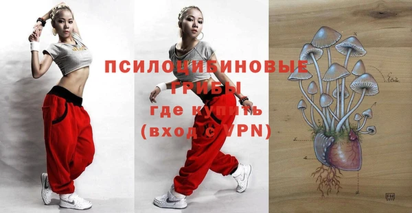 дурь Зеленокумск