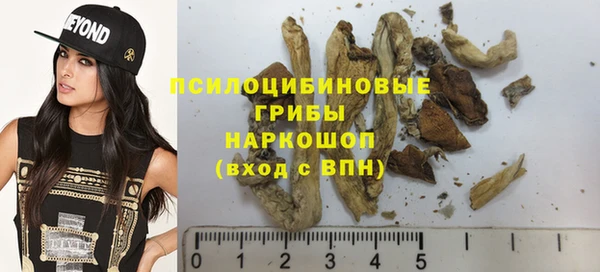 метадон Зеленодольск
